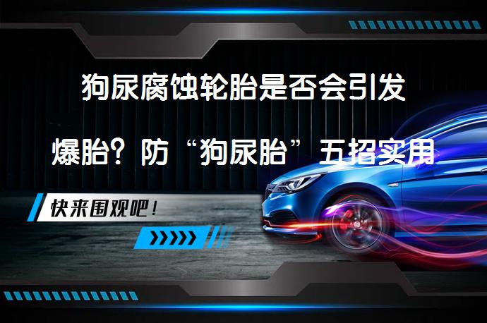 狗尿腐蚀轮胎是否会引发爆胎？防“狗尿胎”五招实用方法_58汽车