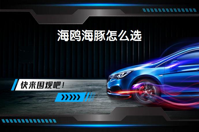 海鸥海豚怎么选-58同城