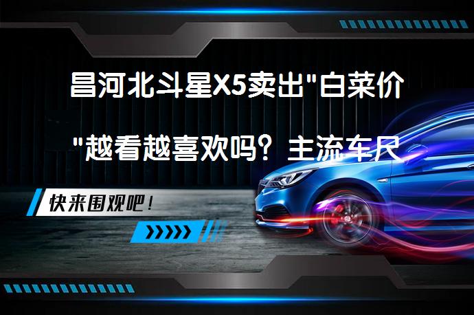 昌河北斗星X5卖出