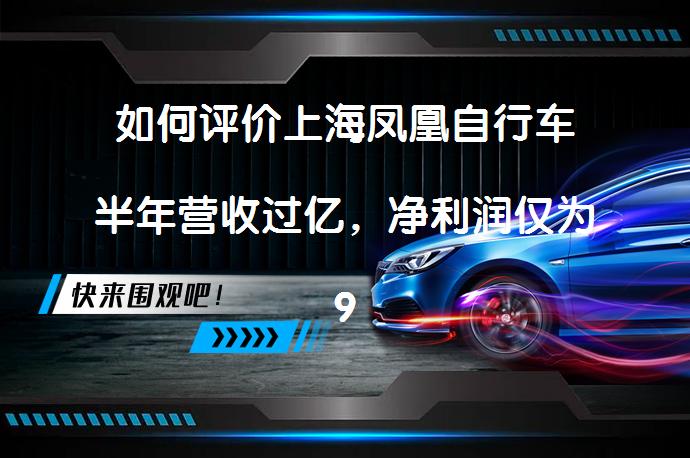 如何评价上海凤凰自行车半年营收过亿，净利润仅为9.63万元？凤凰牌自行车骑起来体验如何？_58汽车