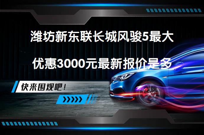 潍坊新东联长城风骏5最大优惠3000元最新报价是多少_58汽车