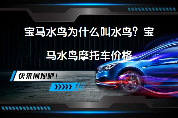 宝马水鸟为什么叫水鸟？宝马水鸟摩托车价格_58汽车