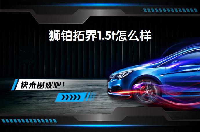 狮铂拓界1.5t怎么样-58同城