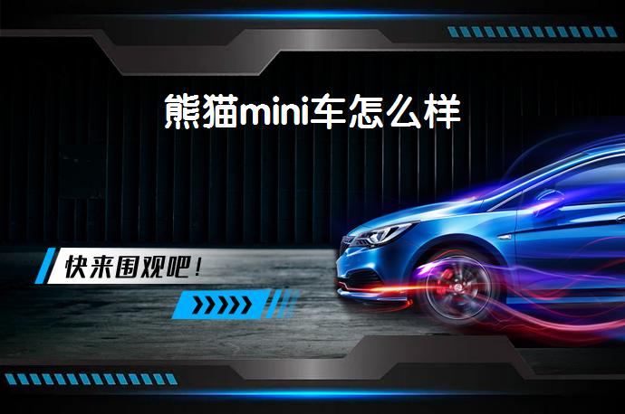 熊猫mini车怎么样-58同城