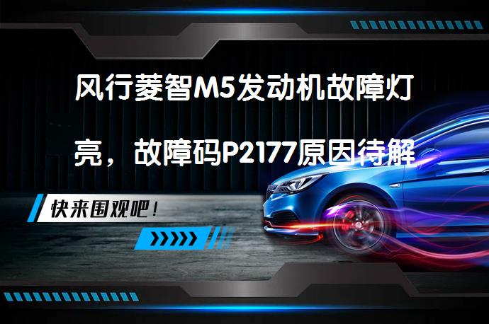 风行菱智M5发动机故障灯亮，故障码P2177原因待解_58汽车