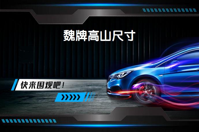 魏牌高山尺寸-58同城