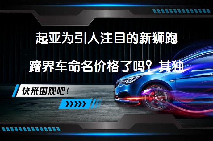 起亚为引人注目的新狮跑跨界车命名价格了吗？其独特设计和配置如何？_58汽车