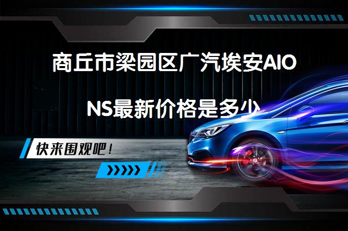 商丘市梁园区广汽埃安AIONS最新价格是多少_58汽车