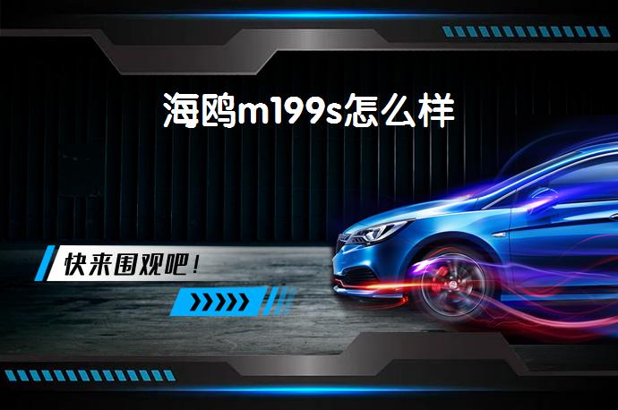 海鸥m199s怎么样-58同城