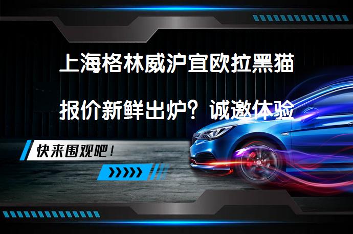 上海格林威沪宜欧拉黑猫报价新鲜出炉？诚邀体验_58汽车