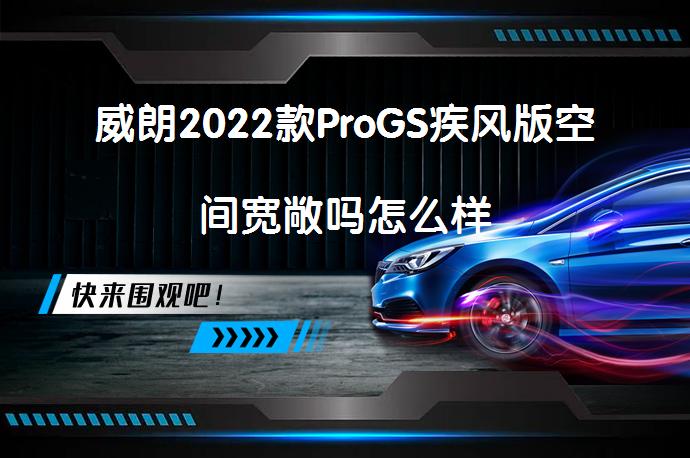 威朗2022款ProGS疾风版空间宽敞吗怎么样_58汽车