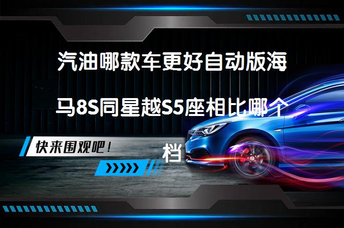 汽油哪款车更好自动版海马8S同星越S5座相比哪个档次高？_58汽车