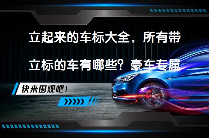 立起来的车标大全，所有带立标的车有哪些？豪车专属的立标设计_58汽车