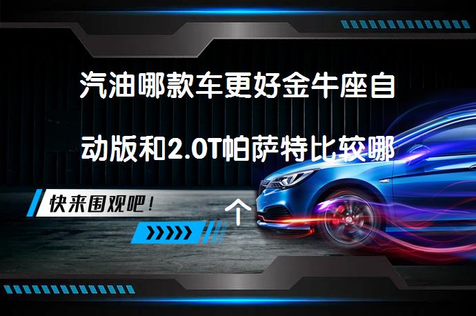 汽油哪款车更好金牛座自动版和2.0T帕萨特比较哪个档次高？_58汽车