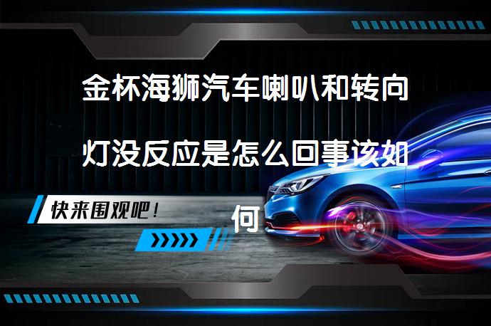 金杯海狮汽车喇叭和转向灯没反应是怎么回事该如何解决？_58汽车