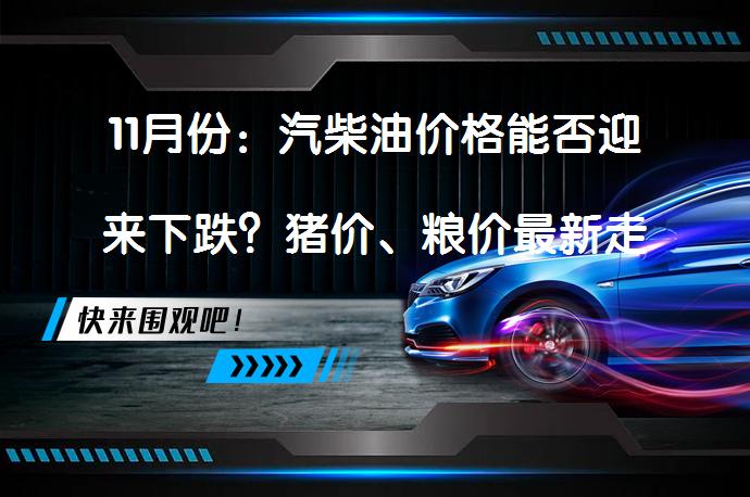 11月份：汽柴油价格能否迎来下跌？猪价、粮价最新走势分析！_58汽车